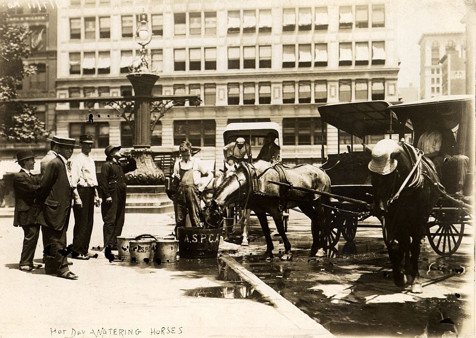 1911den Fotograflar New Yorkun Olumcul Sicak Hava Dalgasiyla Mucadelesini Gosteriyor 016