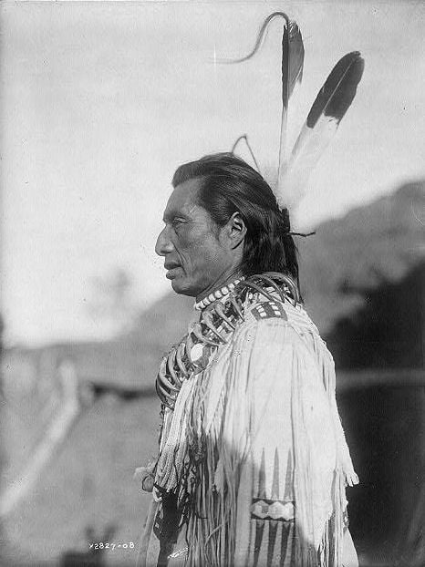 Edward S. Curtis : The North American Indian 6 Crow s heart Mandan