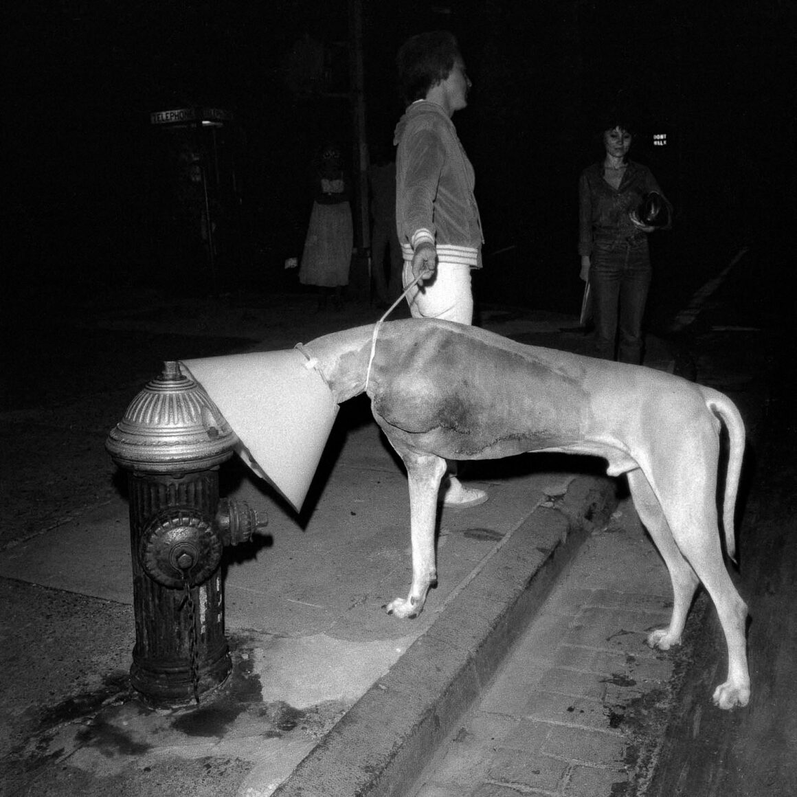 Meryl Meisler Street Walker 7 of 191978 06 NYC uws broadway dog sniff hydrant conehead1500px.j1978 06 NYC uws broadway dog sniff hydrant conehead1500pxpg