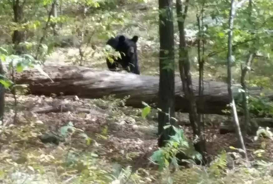 Trajedi Gerçekleşmeden Önce Çekilen Son Fotoğraflar