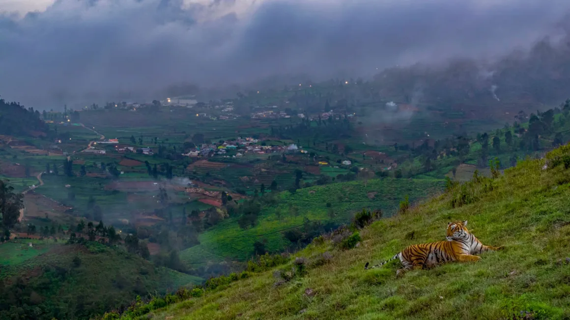 © Robin Darius Wildlife Photographer of the Year