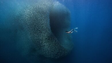 Geleneksel ViewSonic ColorPro Ödülleri Kazananları Açıklandı 17 Image 1 Photography 1 Wormhole Benjamin Yavar