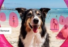 Adobe'nin Umut Vaat Eden Üretken AI Araçları 28 generative remove adobe