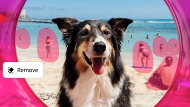 Adobe'nin Umut Vaat Eden Üretken AI Araçları 10 generative remove adobe