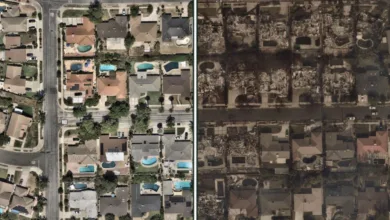 Los Angeles'taki yangının yol açtığı hasarlar 5 Before and after