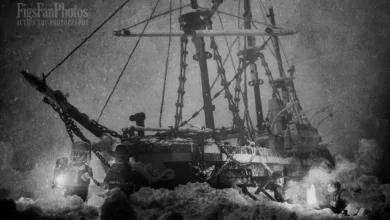 Benedek Lampert : Endurance Seferi 51 Benedek Lampert header