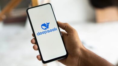 Çinli AI Şirketi DeepSeek Görüntü Oluşturucuyu Piyasaya Sürüyor 14 DeepSeek
