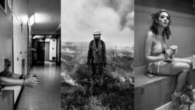 Richard Sharum : Spina Americana 49 Spina America