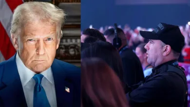 Daniel Torok Kimdir? 15 Torok Trump