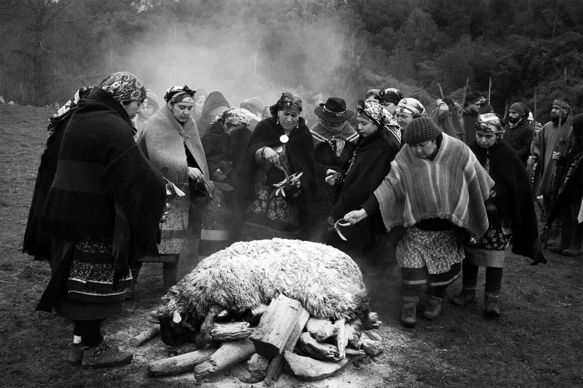 110 South America Long Term Projects Pablo E. Piovano Greenpeace Award GEO National Geographic Society