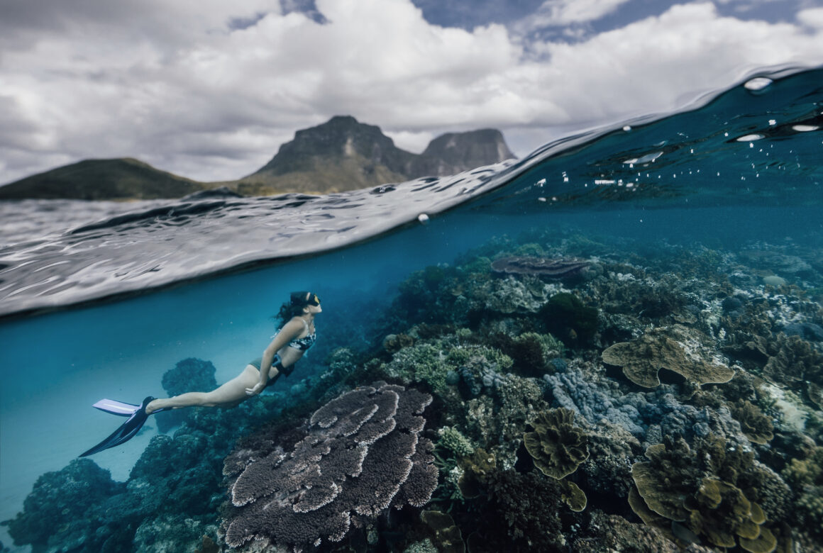 Doğa Fotoğrafçılığınızı Anında Geliştirecek 8 Profesyonel İpucu 4 Melissa Findley LordHowe Australia Diver MountGower