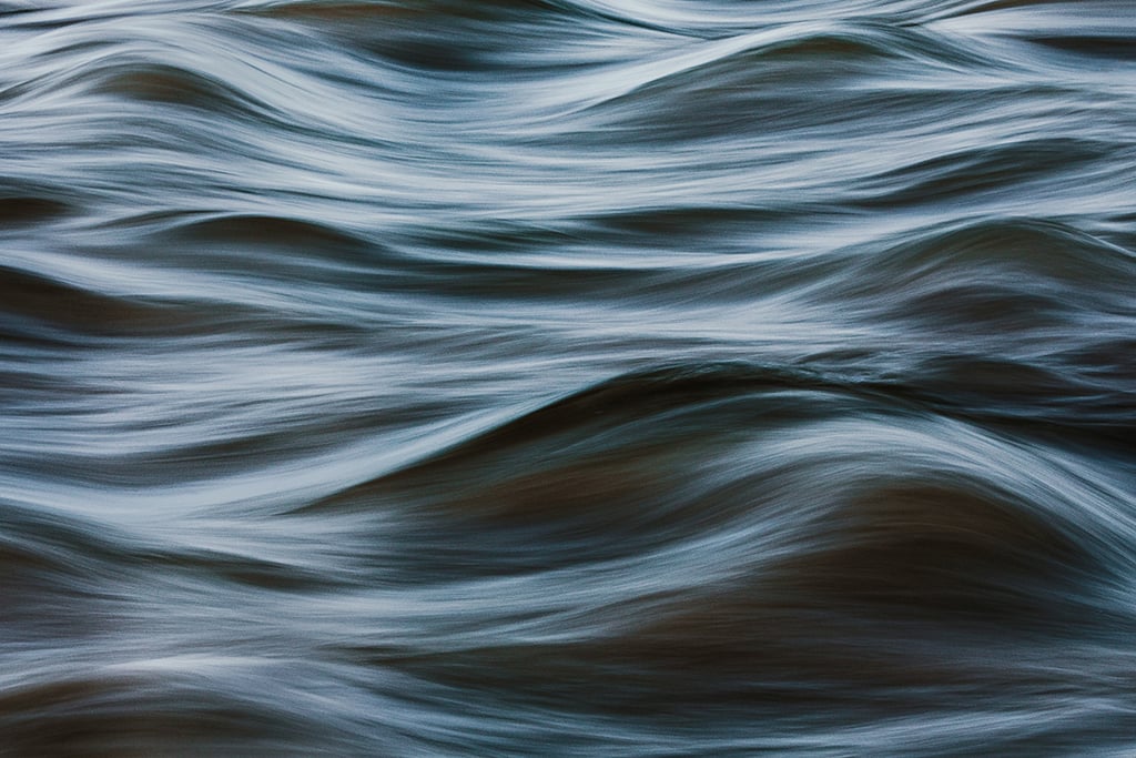 Doğa Fotoğrafçılığınızı Anında Geliştirecek 8 Profesyonel İpucu 23 Melissa Findley MelissaField Abstract