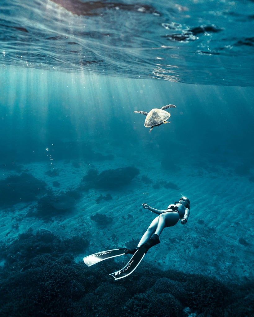 Doğa Fotoğrafçılığınızı Anında Geliştirecek 8 Profesyonel İpucu 5 Melissa Findley MelissaField Underwater 2