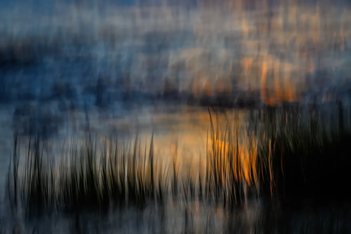 GDT European Wildlife Photographer of the Year 2025 1 k6 1 katja manski abstraktion