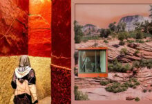 1839 Color Photography Contest Kazananları 6 1839 Color Award Winners