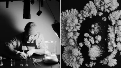 Thomas Blanchard : Kristaller 32 Thomas Blanchard Crystals Project