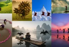 library of fake travel photos feat