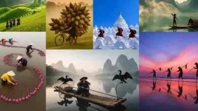 Asya'daki Sahte 'Seyahat Fotoğrafları' Kütüphanesi 11 library of fake travel photos feat