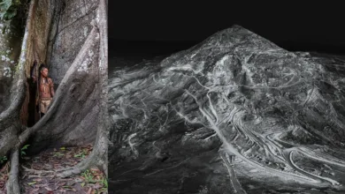 Earth Photo 2025 Award 9 Earth Photo 2025 Award