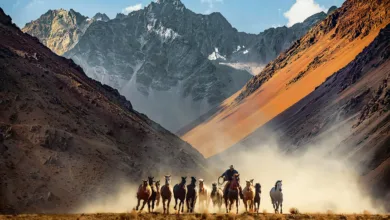 Jim Krantz : Frontier 11 Jim Krantz