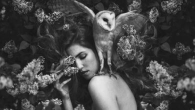 MonoVisions Photography Awards 2026 28 MonoVisions Photography Awards 2026