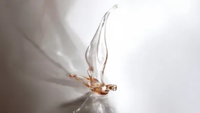 Ani Çelik Arevyan – “Bir Düşün İçinde / In A Dream” 2 AniCelikArevyan In A Dream