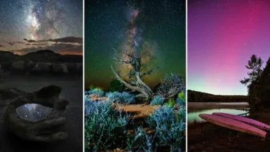 Gece Gökyüzü'nün Eşsiz Manzaralarını Nasıl Çekersiniz? 1 Creating Unique Landscape Photos by Kate Garibaldi 1