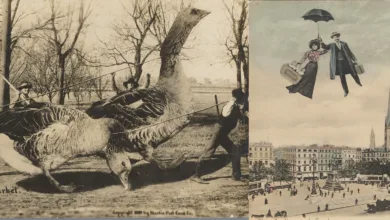 Rijksmuseum’da “Fake!” Sergisi 4 Fake Rijksmuseum