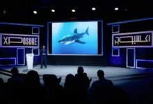 Xposure 2026: Dünyanın En Büyük Fotoğraf Festivali 14 Shane Gross