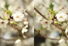 BBL’den Daha Yumuşak ve Güzel Bokeh Modifikasyonu 15 bbl modification featured