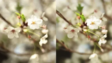 BBL’den Daha Yumuşak ve Güzel Bokeh Modifikasyonu 7 bbl modification featured