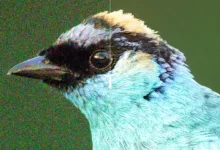 DxO PureRAW 6 Tanıtıldı: Yeni DeepPRIME XD3 ve Akıllı DNG Sıkıştırma 13 Illustration With Without 006 DxO PureRAW6 March2026 credit PetrBAMBOUSEK