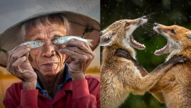 LCE Photographer of the Year 2026 kazananları açıklandı 10 LSE Photographer of the year