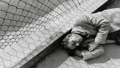 Life Still: Lee Friedlander’ın Gündelik Amerika’yı Parçalama Biçimi 26 Lee Friedlander Still Life