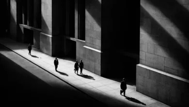 Paul Strand: Fotoğrafın Resimden Kopuşu ve Modern Görmenin Doğuşu 13 Paul Strand 1920
