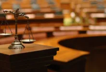 FBI, Fotoğrafçıyı 4,6 Milyon Dolarlık Çocuk Modellik Dolandırıcılığıyla Suçladı 15 Scales