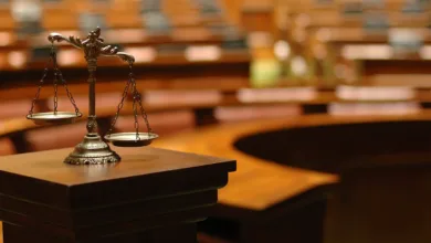 FBI, Fotoğrafçıyı 4,6 Milyon Dolarlık Çocuk Modellik Dolandırıcılığıyla Suçladı 8 Scales