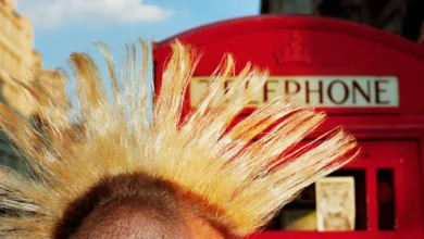 Martin Parr: Flaşın Acımasız Gerçeği 11 parr londonpunk 2