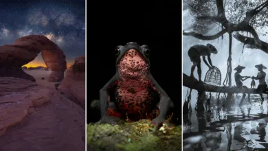 Sony World Photography Awards 2026: Ulusal ve Bölgesel Kazananlar Açıklandı 1 swpa 2026 nat regional featured