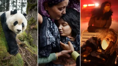 2026 World Press Photo Kazananları: Yılın En Çarpıcı 70+ Fotoğrafı 1 2026 world press photo featured