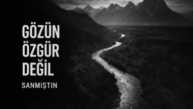 Fotoğrafa Bakmıyorsun, İçine Giriyorsun: Gözünün İzlediği Gizli Yol 1 Gozunun Izledigi Gizli Yol