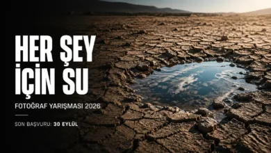 Nikolaos Manginas 4. Uluslararası Fotoğraf Yarışması 3 Nikolaos Manginas 4. Uluslararasi Fotograf Yarismasi