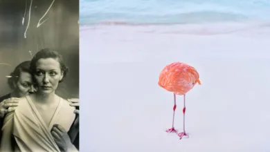 Bu Fotoğraf Gerçek Değil — Ve Sorun Bu Değil 4 ai photography essay feat