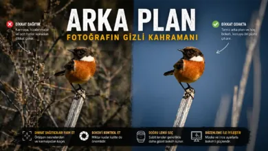 Fotoğrafta Asıl Hikâye Sadece Konuda Değil, Arka Planda 26 fotografta arka plan