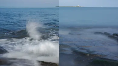 Enstantane Hızı Fotoğraflarınızı Nasıl Değiştirir? 3 5020431