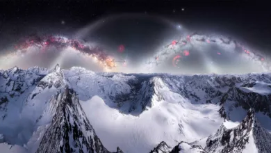 Angel Fux: Triple Galaxy Arch 4 Triple Arch Angel Fux