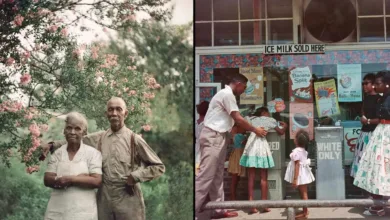 Gordon Parks’ın "Segregation Story" Fotoğrafları 70 Yıl Sonra Sergileniyor 3 gordon parks feature