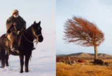 Şili'nin Yalnız Kovboyları: Pie Aerts'in Coirón Projesi 12 chilean ranchers featured