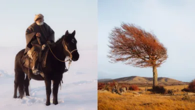 Şili'nin Yalnız Kovboyları: Pie Aerts'in Coirón Projesi 9 chilean ranchers featured