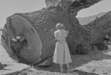 Dorothea Lange'ın Sular Altında Kalan Kasabayı Belgeleyen Fotoğrafları Gün Yüzüne Çıktı 13 Dorothea Lange Pirkle Jones Monticello